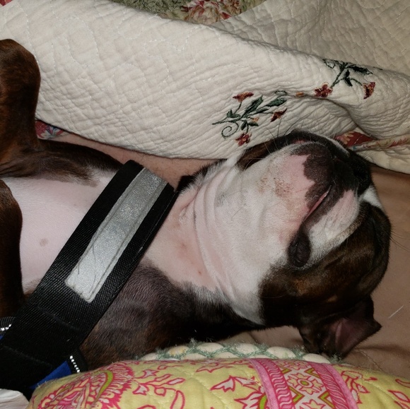 WE ALSO do FLASH SALES!! - Picture 2 of 2